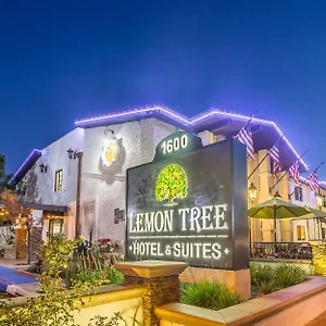 The Lemon Tree Hotell
